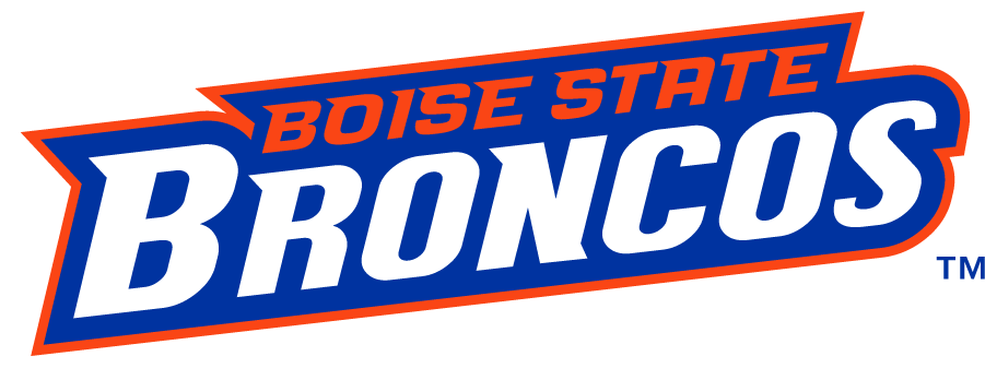 Boise State Broncos 2012-2013 Wordmark Logo v2 diy iron on heat transfer